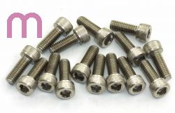 SCHREMS SCHRAUBENBOX M6 15-er SET INNEN 6-KANT EDELSTAHL M6X15 E