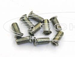 SCHREMS BREMSSCHEIBENSCHRAUBE M6 10.9 13MM 9-PACK FOR FRONT WHEE