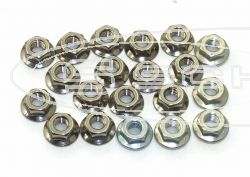 SCHREMS BUNDKOPFMUTTER M6 (20PCS) M6 VERCHROMT