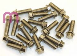 SCHREMS BOLT BOX M8 X25 MM 8.8 20-PACK M8X25