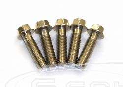 SCHREMS ŠROUB BOX M8 X30 MM 8.8 5 PACK M8X30