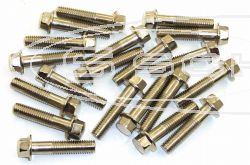 SCHREMS ŠROUB BOX M8 X35 MM 8.8 20-PACK M8X35