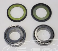 SCHREMS STEERING-STEM BEARING KIT