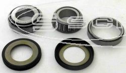 SCHREMS STEERING-STEM BEARING KIT