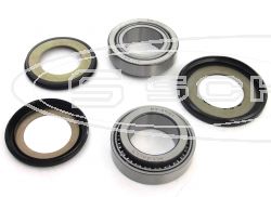 SCHREMS STEERING-STEM BEARING KIT