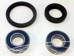 SCHREMS WHEEL BEARING AND SEAL KIT