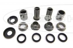 SCHREMS SWING ARM BEARING,SEAL,BUSHINGS KIT