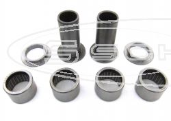 SCHREMS SWING ARM BEARING,SEAL,BUSHINGS KIT