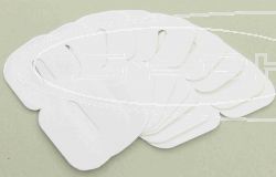 SCHREMS KLEBENUMMER 17 CM 20-PACK WEI 8