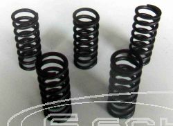 SCHREMS-EBC CLUTCH SPRING KIT PREMIUM 6-PIECE