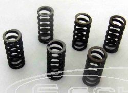 SCHREMS-EBC CLUTCH SPRING KIT PREMIUM 6-PIECE