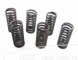 SCHREMS-EBC CLUTCH SPRING KIT PREMIUM 6-PIECE