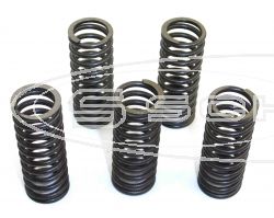 SCHREMS-EBC CLUTCH SPRING KIT PREMIUM 5-PIECE