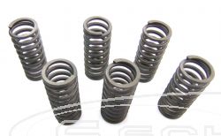 SCHREMS-EBC CLUTCH SPRING KIT PREMIUM 6-PIECE