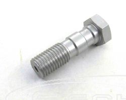 BANJO BOLT FOR BRAKE LINE DOPPEL ALU M10x1,25 SILVER