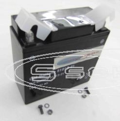 GARTEN-GERTE BATTERIE 51913-21 GEL SCHREMS