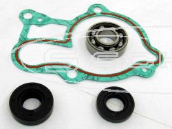 SCHREMS WATER PUMP REPAIR KIT INCL. BEARING AND GASKETS