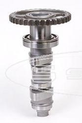 HOT CAMS CAMSHAFTS HONDA CRF 450R 09