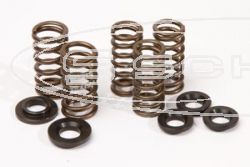 HOT CAMS VALVE SPRING KIT YAMAHA YZ 250F 01-14