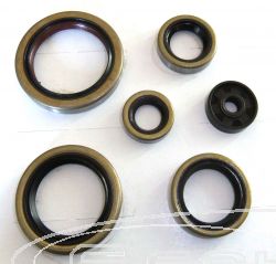 SCHREMS OIL SEALS SET ENGINE COMPLET KTM EXC/SX/SXS/XC 250 03-, HUSABERG TE 250 11-14, HUSQVARNA TC/TE 250 14-