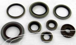 SCHREMS OIL SEALS SET ENGINE COMPLET KTM EXC-F 250 06-13/ SX-F 250 05-12, HUSABERG FE 250 13-14