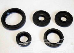 SCHREMS OIL SALS SET PREMIUM ENGINE COMPLET BMW G 450X 07-10/HUSQVARNA TC-TE-TXC 449 11-12