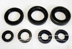 SCHREMS OIL SALS SET PREMIUM ENGINE COMPLET YAMAHA DT 175