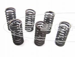 SCHREMS-EBC CLUTCH SPRING KIT PREMIUM 6-PIECE