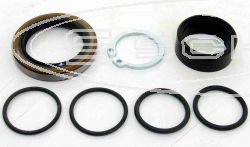 SCHREMS OUTPUT- SEAL-REPAIR KIT HUSABERG, HUSQVARNA,KTM