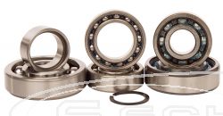 HOT RODS TRANSMISSION-BEARING KIT SUZUKI RM 250 01-08