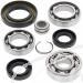 SCHREMS DIFFERENTIAL BEARING AND SEAL KIT FRONT HONDA TRX 350 87, TRX 350D 87-89