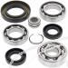 SCHREMS DIFFERENTIAL-LAGER UND SIMMERRING KIT FRONT HONDA TRX 350 87, TRX 350D 87-89