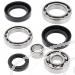 SCHREMS DIFFERENTIAL BEARING AND SEAL KIT REAR HONDA ATC 200ES 84, TRX 200 84