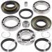SCHREMS DIFFERENTIAL BEARING AND SEAL KIT REAR HONDA TRX 250 Recon 97-, TRX 250X / EX Sportrax 01-