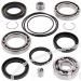 SCHREMS DIFFERENTIAL BEARING AND SEAL KIT REAR HONDA TRX 300 Fourtrax 300 88-00, TRX 300FW Fourtrax 4x4 88-00