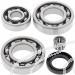 SCHREMS DIFFERENTIAL BEARING AND SEAL KIT REAR KAWASAKI KLF 220 Bayou 88-02, KLF 250 Bayou 03-11