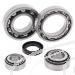 SCHREMS DIFFERENTIAL-LAGER UND SIMMERRING KIT REAR KAWASAKI KLF 300A Bayou 86-87