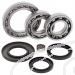 SCHREMS DIFFERENTIAL BEARING AND SEAL KIT REAR SUZUKI LT-F230 86-87