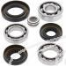 SCHREMS DIFFERENTIAL BEARING AND SEAL KIT FRONT YAMAHA YFM 350FX Wolverine 95-97