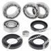 SCHREMS DIFFERENTIAL BEARING AND SEAL KIT FRONT YAMAHA YFM 600 Grizzly 98-01