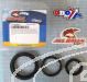 SCHREMS DIFFERENTIAL BEARING AND SEAL KIT REAR YAMAHA