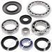 SCHREMS DIFFERENTIAL KIT (REPL 655.SC.2024) ZADNÍ ARTIC CAT/ SUZUKI