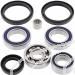 SCHREMS DIFFERENTIAL BEARING AND SEAL KIT FRONT, REAR ARTIC CAT