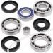 SCHREMS DIFFERENTIAL BEARING AND SEAL KIT REAR ARTIC CAT