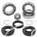 SCHREMS DIFFERENTIAL-LAGER UND SIMMERRING KIT FRONT HONDA TRX 400FA 04-07, TRX 400FGA Fourtrax Rancher 4X4 04-07