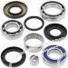 SCHREMS DIFFERENTIAL BEARING AND SEAL KIT REAR SUZUKI LT-F 250 Ozark 02-, LT-Z 250 04-09