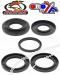 SCHREMS DIFFERENTIAL-SIMMERRING KIT REAR SUZUKI LT-F 250 Ozark 02-, LT-Z 250 04-09