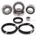 SCHREMS DIFFERENTIAL-LAGER UND SIMMERRING KIT FRONT ARTIC CAT