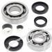 SCHREMS DIFFERENTIAL-LAGER UND SIMMERRING KIT FRONT POLARIS