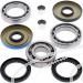 SCHREMS DIFFERENTIAL BEARING AND SEAL KIT REAR POLARIS